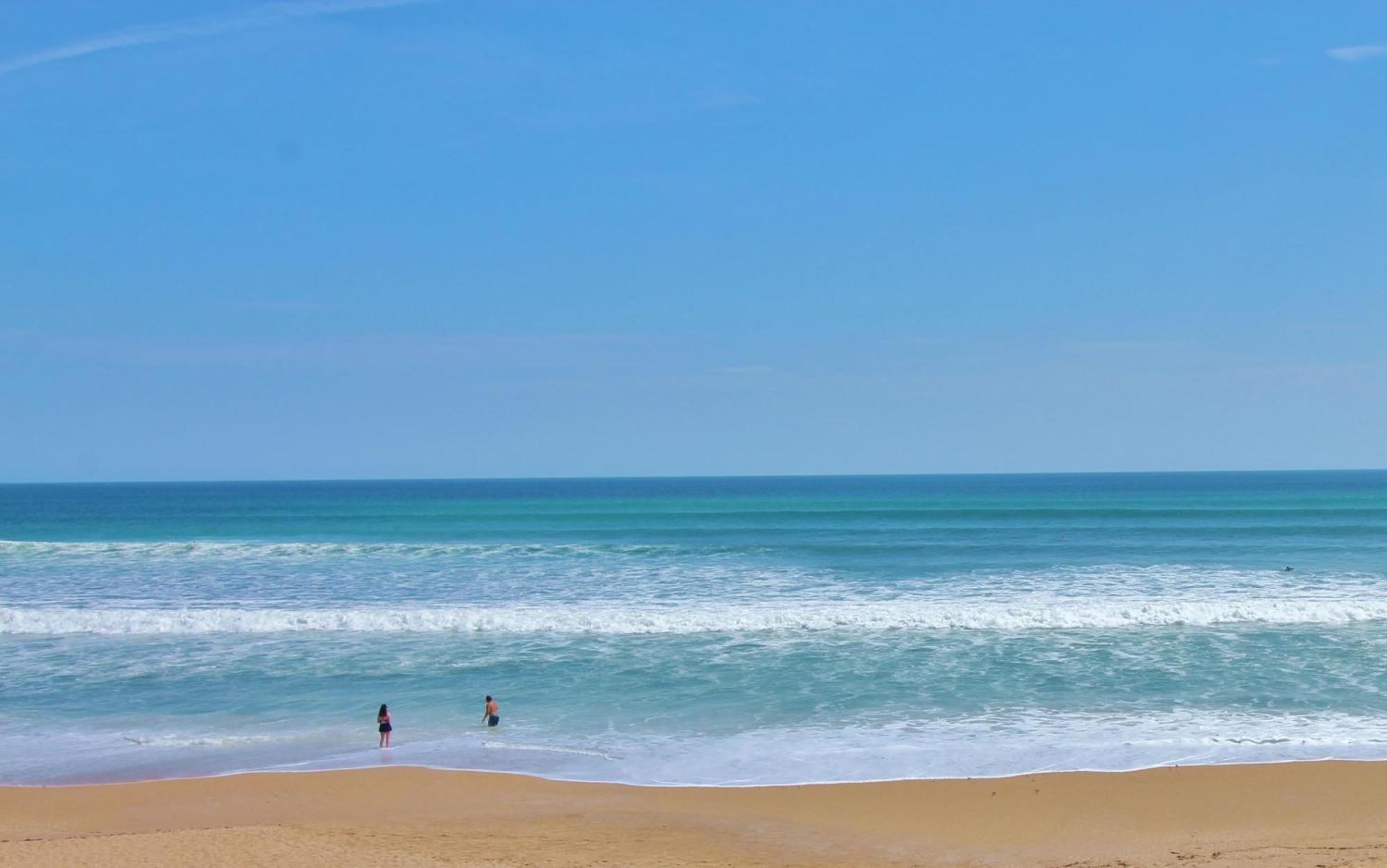 Oceanside Village D2 نيو سميرنا بيتش المظهر الخارجي الصورة